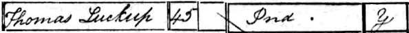 1841 census for Thomas Luckup 11kB-gif