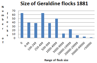 Graph of sheep flocks in the Geraldine 1881 - kB gif
