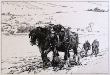 Dean Crompton's horses - 32kB gif