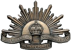 AIF badge - 13kB gif