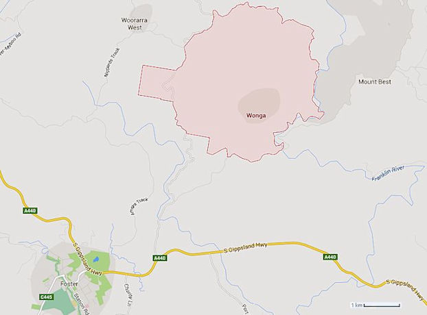 Forest district of Gippsland - 31kB jpg