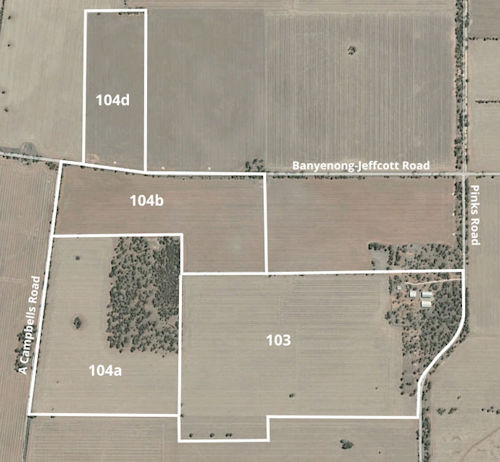 Thomas taylor Forsyth's lands at Mount Jeffcott 2021 in detail - 40Kb jpg