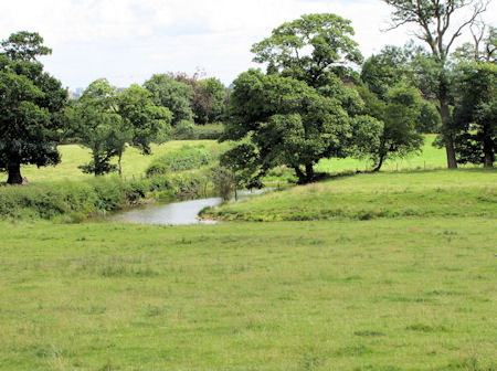 Frankley Manor moat, August 2013 - kB jpg