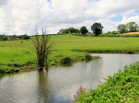 Frankley Manor moat, August 2013 - kB jpg