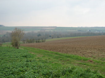 The battle field looking toward Thiepval Ridge - kB jpg
