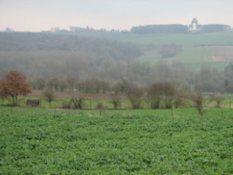 The battle field looking toward Thiepval Memorial- kB jpg