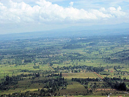 Farming in Kitale - 45kB jpg