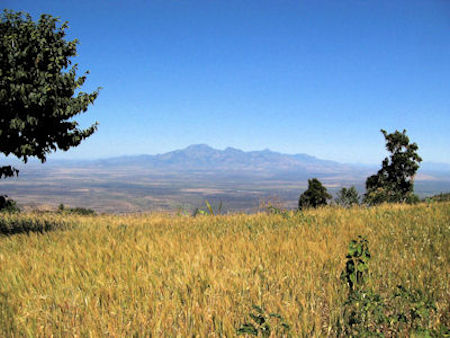 Mount Elgon and Cottam Farm - 41kB jpg