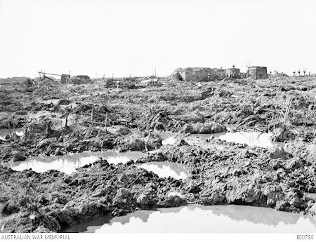 Nonne Bosschen swamp - 48kB jpg