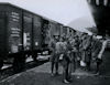 Cattle trucks for troops - kB jpg
