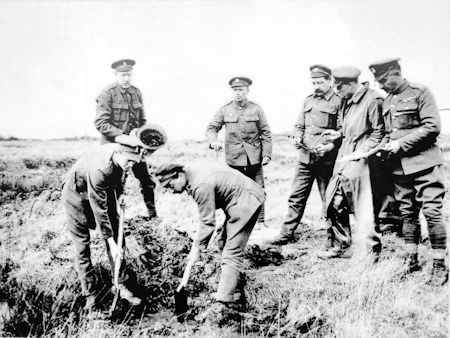 Graves Registration - looking for bodied - 44kB jpg