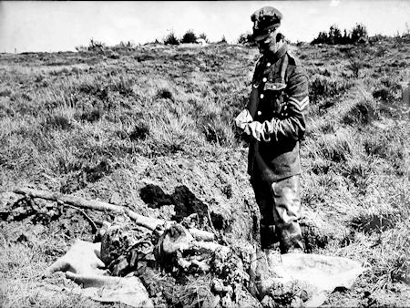 Graves Registration - Gathering the remains - 65kB jpg