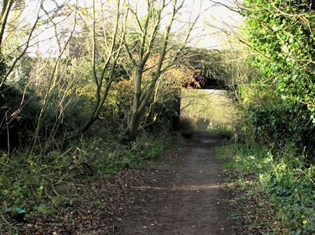 The Hartlepool railway line, looking west 2011 - kB jpg