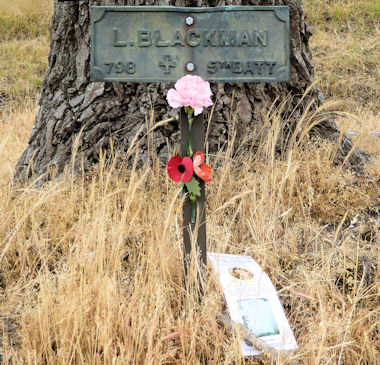 Plaque at LCB's tree - 61kB jpg