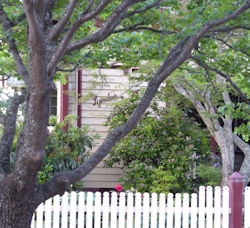 Margery Blackman 1430 Sturt Street Ballarat 2015 - 26kB jpg