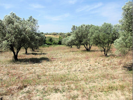 Near Tommies' Trench 1919 AWM G02121 - 28kB jpg