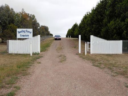 Dowling Forest eastern entrance - 31kB jpg