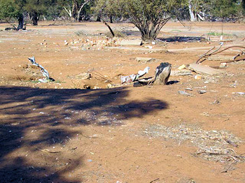 Modern photograph of the remains of the Forsyth homestead - 54Kb jpeg