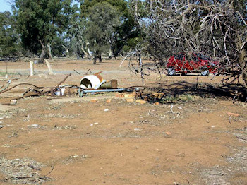 Modern photograph of the remains of the Forsyth homestead - 54Kb jpeg