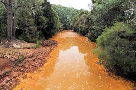 Pollution on Queen River - recent - 54kB jpg