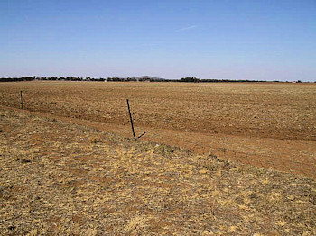 Mount Jeffcott 2000 - 44Kb jpeg