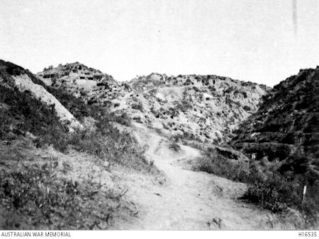 White's Valley from the sea - 38kB jpg