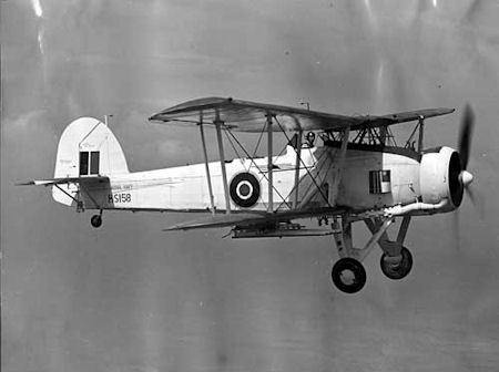 Fairy Swordfish - kB jpg