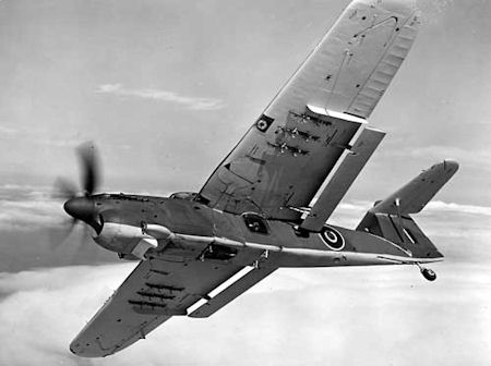 Fairy Barracuda - kB jpg